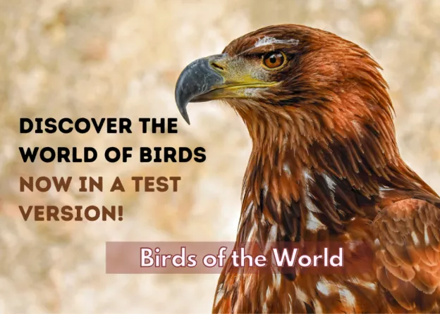 Discover the world of birds with Birds of the World – now available in a trial version!